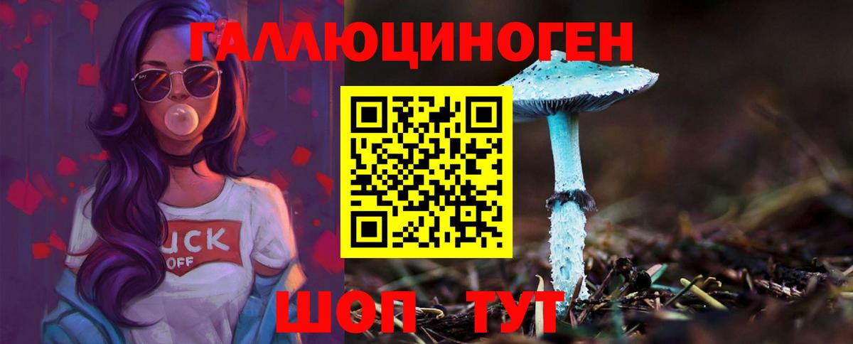 Псилоцибиновые грибы Psilocybe  магазин  наркотиков  Красноярск  Вход с VPN  Псилоцибиновые грибы Psilocybe 